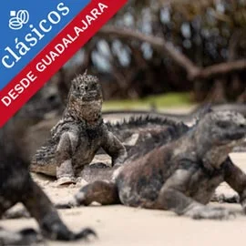 Destino relacionado con TRIÁNGULO DE ORO CON GALÁPAGOS DESDE GUADALAJARA