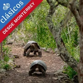 Destino relacionado con TRIÁNGULO DE ORO CON GALÁPAGOS DESDE MONTERREY