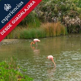 Destino relacionado con ISLAS GALÁPAGOS DESDE GUADALAJARA