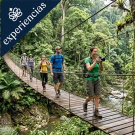 Destino relacionado con LO MEJOR DE MALASIA Y BORNEO