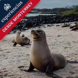 Destino relacionado con ISLAS GALÁPAGOS DESDE MONTERREY