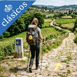 Destino relacionado con CAMINO DE SANTIAGO FRANCÉS (SUP) 2026