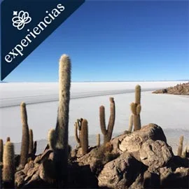 Destino relacionado con LO MEJOR DE BOLIVIA