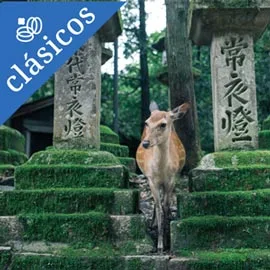 Destino relacionado con JÁPON ESENCIAL CON OSAKA (TOKYO - TOKYO)